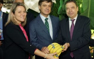 platania fruit attraction