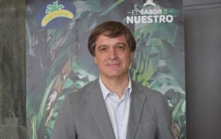 platania platano de canarias