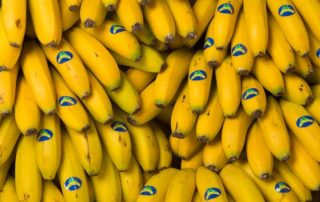 platania beneficios platano de canarias