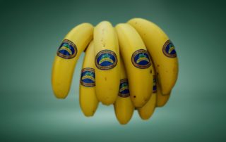 platania etiqueta biodegradable