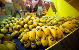 platania exportacion platanos