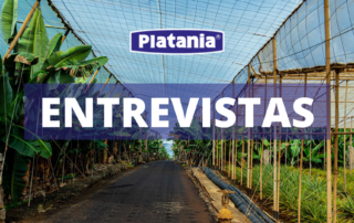 platania entrevistas