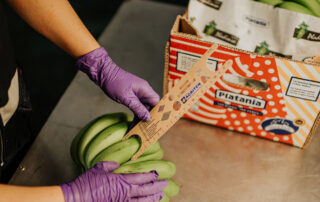 platania maduración del plátano