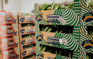 platania distribuidores de plátanos de canarias