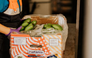 platania transporte del platano de canarias