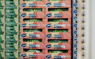 Platania Comercializadora platanera en Canarias