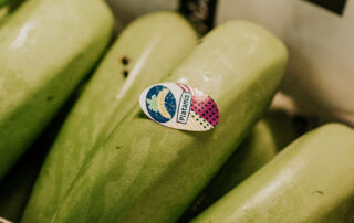 platania Competencia del plátano canario en el comercio exterior