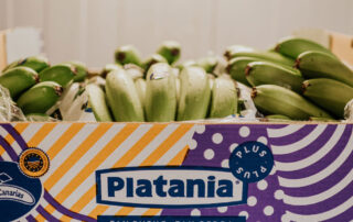 platania marcas de plátanos