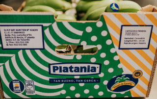 origen del plátano platania