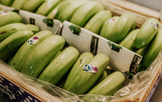Imagene de platanos en un mercado de canarias