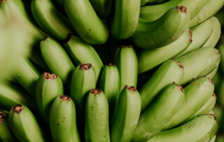 Platania - ¿Por qué deberías incluir el Plátano de Canarias en tu dieta?