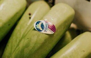 El plátano, el alimento ideal para los deportistas